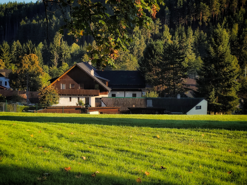 Žánrová